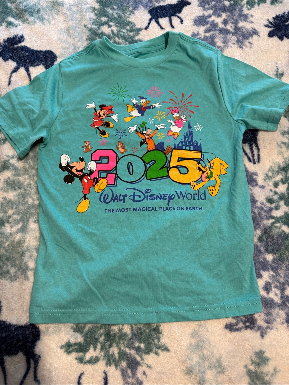 Disney Teal 2025 Character Graphic Short Sleeve Tee